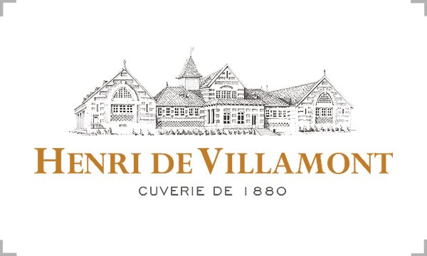Henri de Villamont - Logo